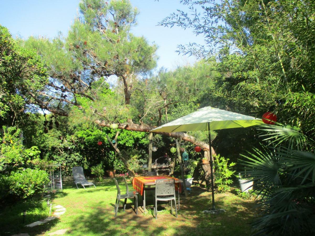 מרסיאן Jardin Et Bambous, Studio Cosy, Classe 2 Etoiles מראה חיצוני תמונה