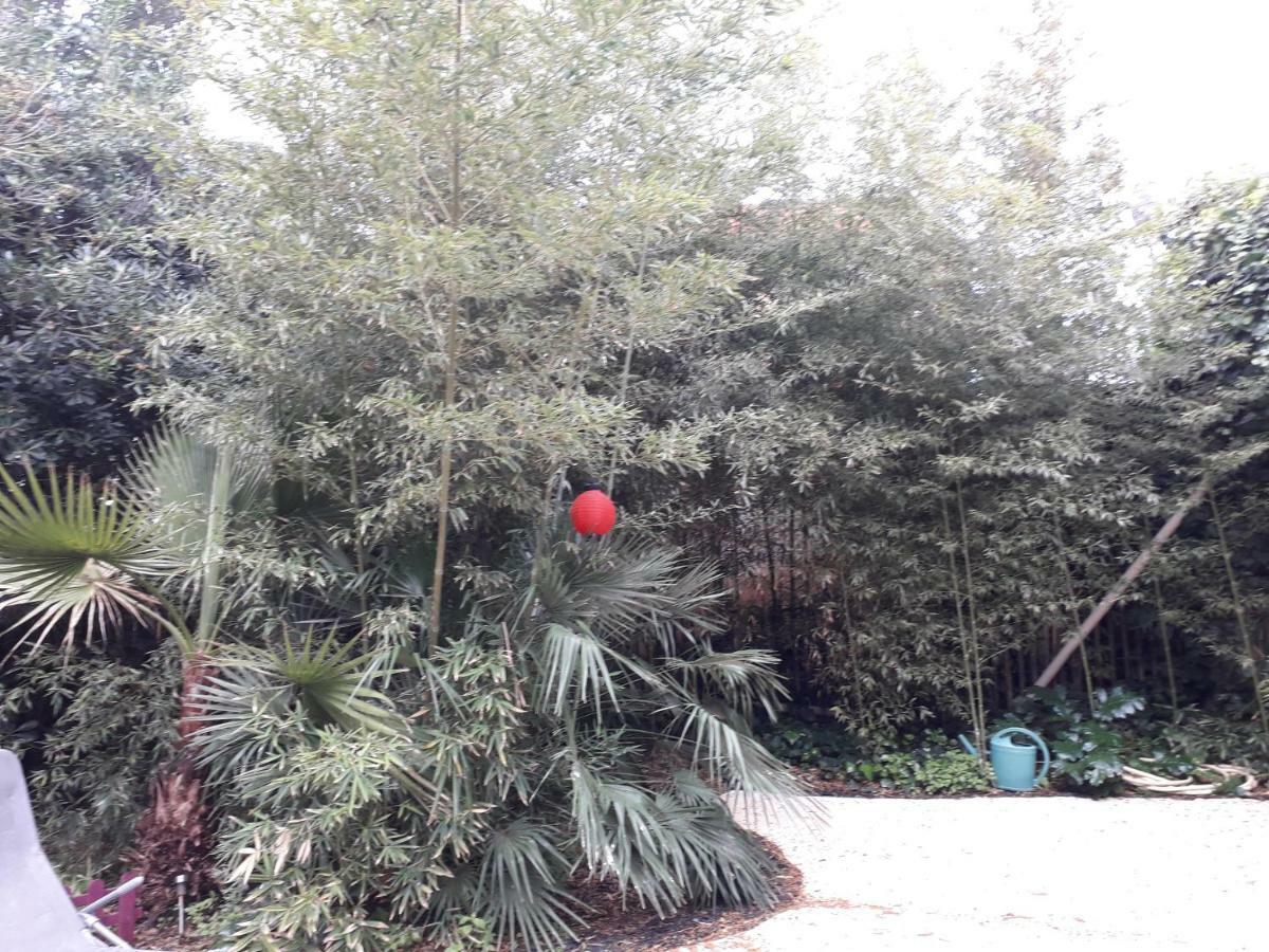 מרסיאן Jardin Et Bambous, Studio Cosy, Classe 2 Etoiles מראה חיצוני תמונה